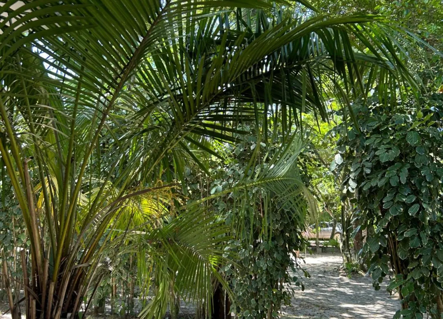 Casa Caminho Do Sol Villa Porto Seguro Brazil